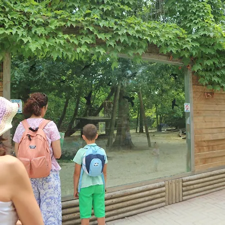 Carinzia 아파트